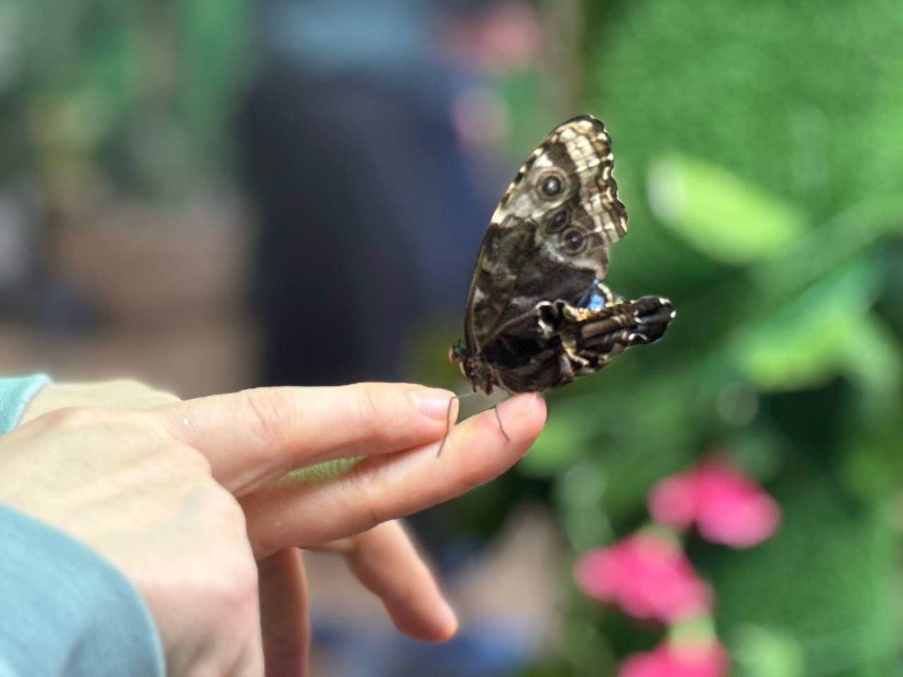 Благотворительное мероприятие ко Всемирному дню распространения информации о проблеме аутизма